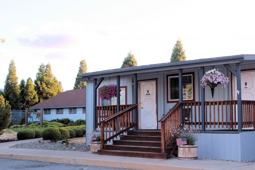 Yreka Veterinarian / Veterinary Hospital